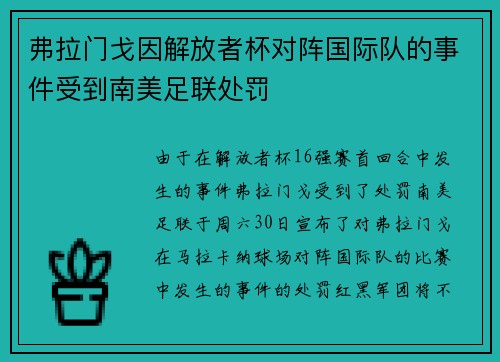 弗拉门戈因解放者杯对阵国际队的事件受到南美足联处罚